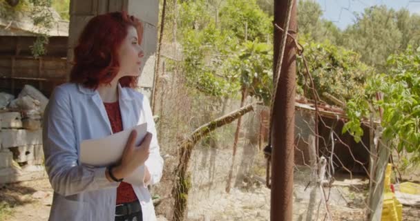 Νεαρή Γυναίκα Γεωπόνος Που Εργάζεται Στον Καλοκαιρινό Κήπο Κοκκινομάλλα Γυναίκα — Αρχείο Βίντεο