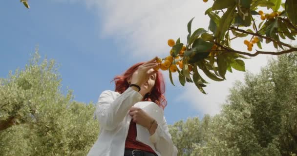 Young Female Agronomist Working Summer Garden Redhead Woman Checking Trees — Stock Video