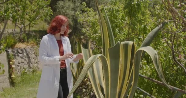 Fiatal Női Agronómus Dolgozik Nyári Kertben Vörös Hajú Ellenőrzi Növények — Stock videók