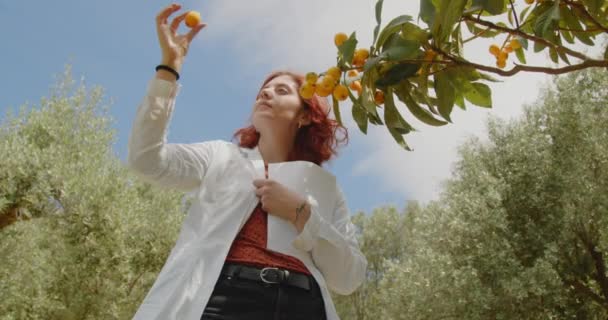 정원에서 일하는 농학자 여자가 농장에서 과일을 확인하는 — 비디오