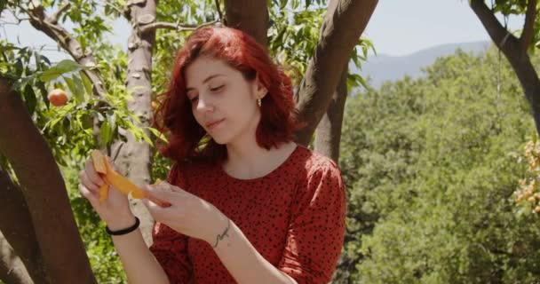 Joven Pelirroja Comiendo Fruta Granja Durante Día — Vídeos de Stock