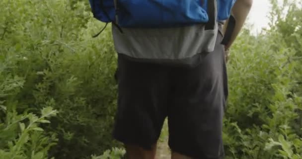 Male Hiker Backpack Walking Green Meadow — Stock Video