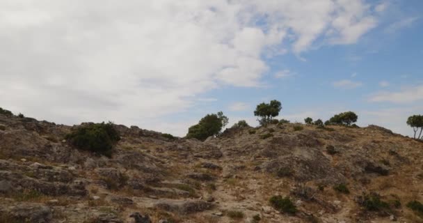 Felsen Mit Grünen Bäumen Unter Bewölktem Himmel — Stockvideo