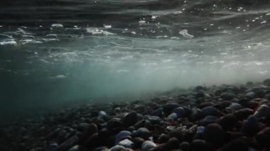 Calabria 'da deniz yatağında taşlar ve küçük balıklar var.