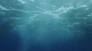 Calabria 'da baloncuklu koyu deniz yatağı