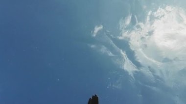 Genç adam denizde yüzüyor. Su altı görüntüsü