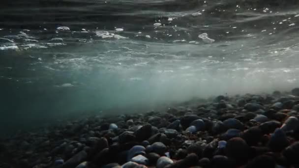 Calabria Deniz Yatağında Taşlar Küçük Balıklar Var — Stok video