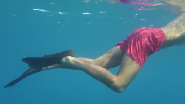 Junger Mann Schwimmt Meer Unterwasserblick — Stockvideo