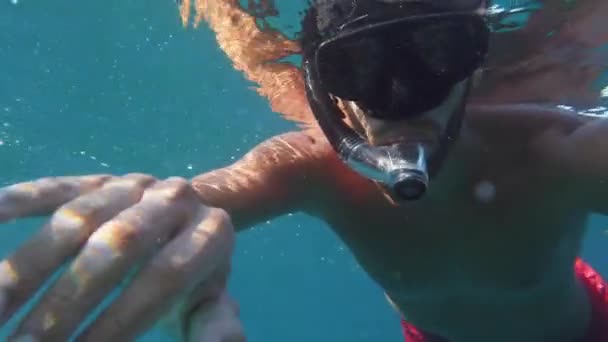 Молодий Чоловік Плаває Морі Вид Під Водою — стокове відео