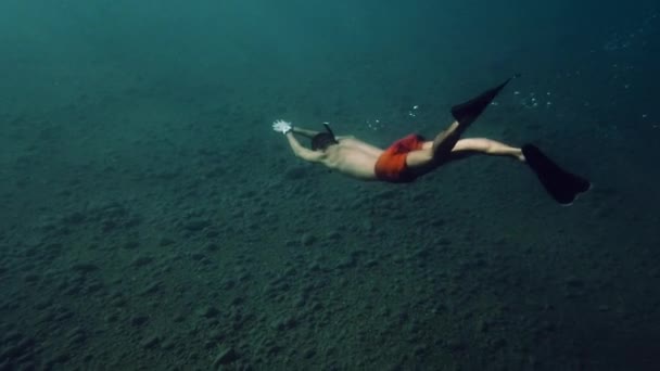 Jeune Homme Nageant Dans Mer Vue Sous Marine — Video