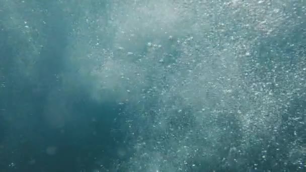 Luftbubblor Vattnet Som Stiger — Stockvideo