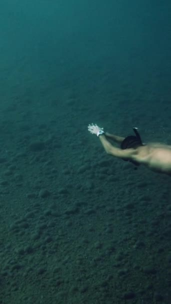 Молодий Чоловік Плаває Морі Вид Під Водою — стокове відео