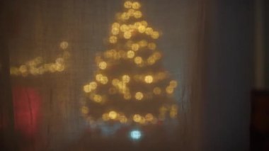 Bir evin perdesinin arkasından görülen Noel Ağacı.