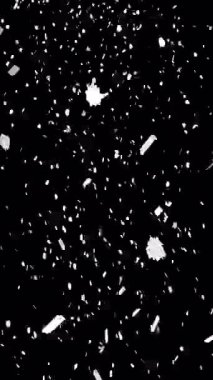 Şeffaf Siyah Arkaplanda Kar Yağışı Kaplaması.