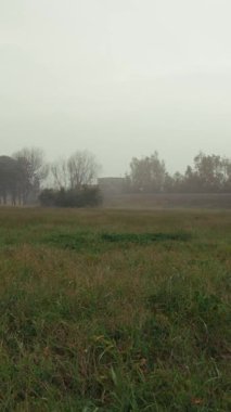 Gri Sisli bir günde Yeşil Park Üzücü.