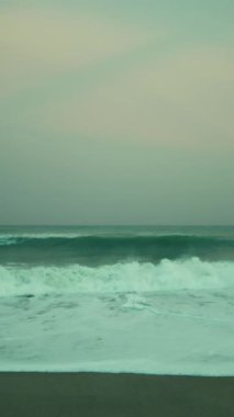 Yeşil Okyanus, Nükleer Enerji Santrali 'nin yakınındaki Toprak ve Radyasyon ile Kirletildi.