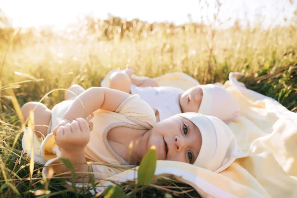 夏の日に草の上に横たわる面白い双子姉妹の生まれたばかりの赤ちゃん — ストック写真