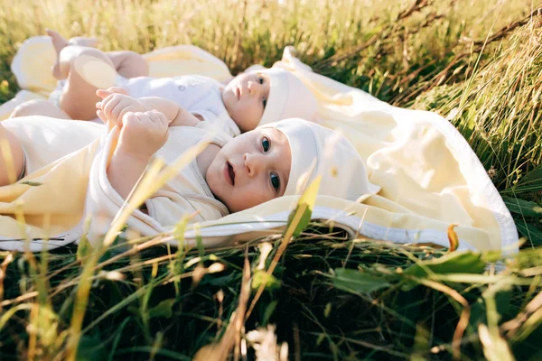 Funny twins sisters newborn babies lying on grass in summer day — Stock Photo, Image
