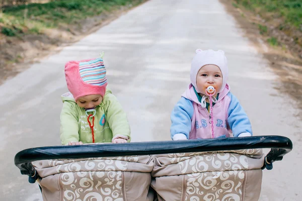 Hermanas gemelas graciosas en cochecito doble carro de bebé en el bosque — Foto de Stock
