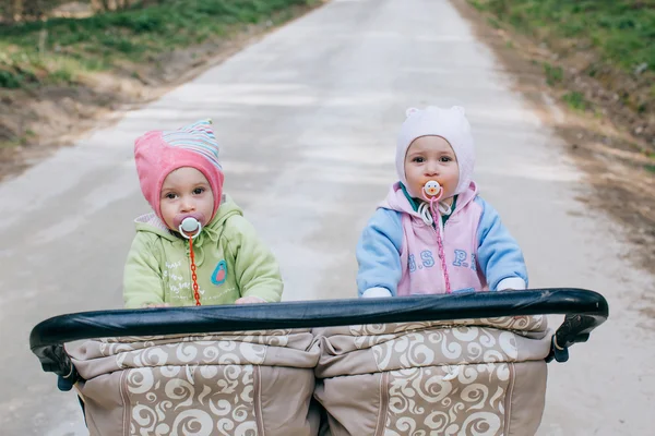 Lucu kembar bayi perempuan di kereta bayi dua kereta bayi di hutan — Stok Foto