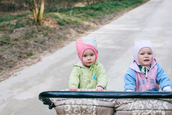 Hermanas gemelas graciosas en cochecito doble carro de bebé en el bosque — Foto de Stock