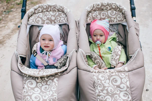 Lucu kembar bayi perempuan di kereta bayi dua kereta bayi di hutan — Stok Foto