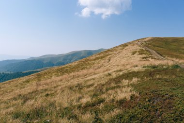 dağlar yeşil tepeler