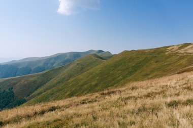 dağlar yeşil tepeler