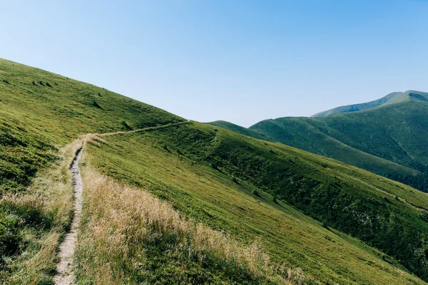 Mountains green hills — Stock Photo, Image