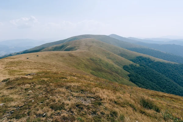 dağlar yeşil tepeler