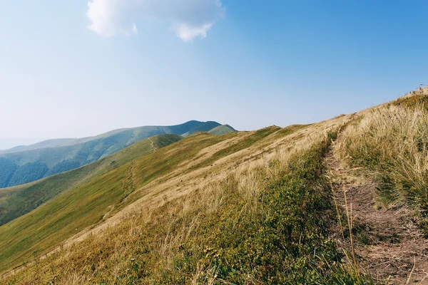 dağlar yeşil tepeler