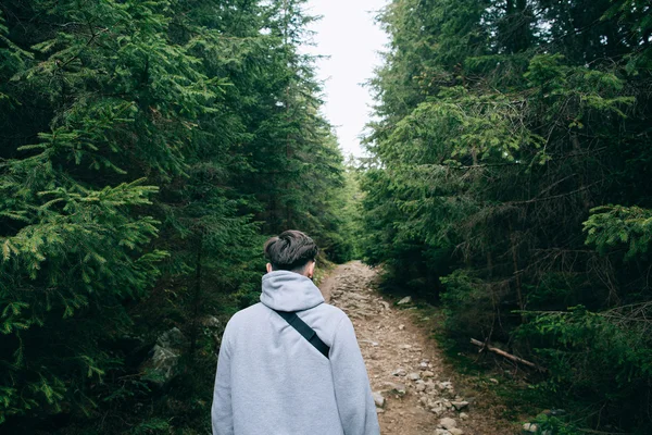 Homem andando na floresta de coníferas nebulosas — Fotografia de Stock