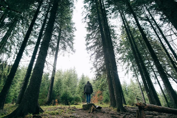 Mannen i Misty mountain skog — Stockfoto