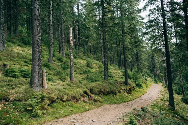 Road trek into the mountain — Stock Photo, Image