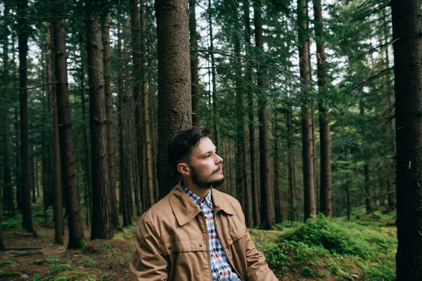 Man in Misty mountain forest — Stock Photo, Image