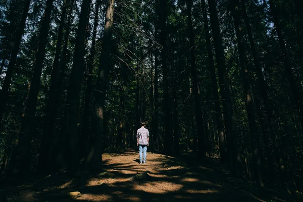 Homem na floresta de montanha nebulosa — Fotografia de Stock