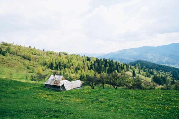 Groene bergen landschap — Stockfoto