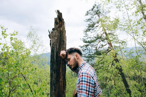 Hombre en Misty bosque de montaña —  Fotos de Stock