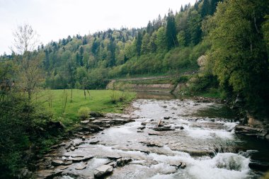 Yeşil Ormandaki Dağ Nehri