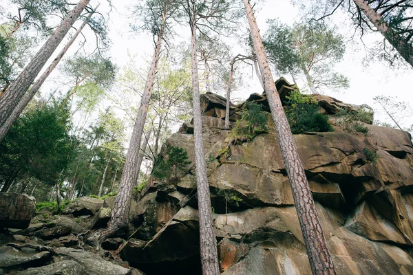 Προβολή των βράχων στο δάσος — Φωτογραφία Αρχείου