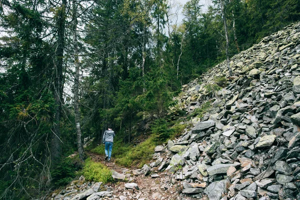 Hombre en Misty bosque de montaña —  Fotos de Stock