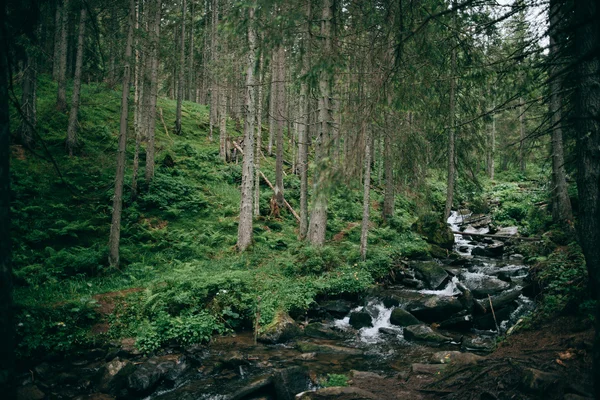 El río de montaña en Cárpatos — Foto de Stock