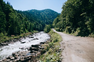 Karpatlar güzel dağ Nehri