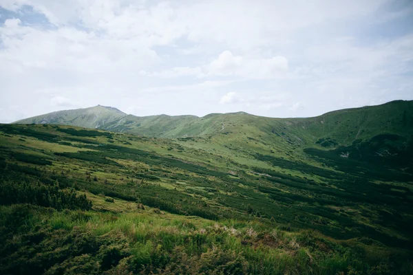 Paesaggio montano. Nuvole. Viaggio . — Foto Stock