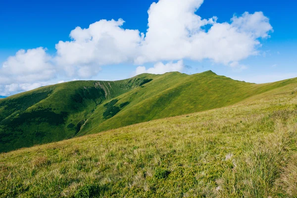 Montagne verdi — Foto Stock