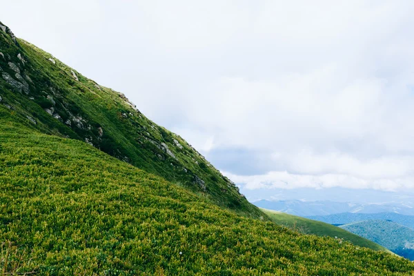 Green mountains — Stock Photo, Image