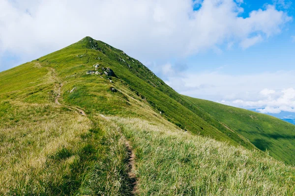 Montagne verdi — Foto Stock