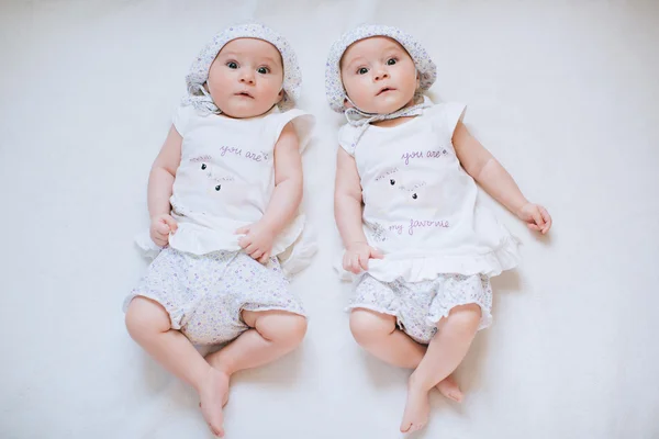 Funny twins sisters babies Royalty Free Stock Photos