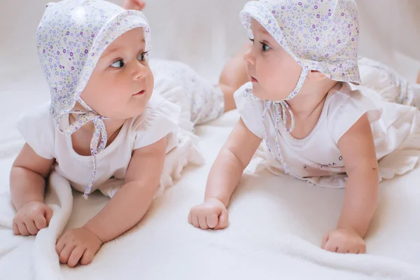 Funny twins sisters babies Royalty Free Stock Images