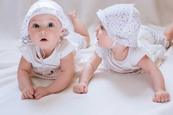 Funny twins sisters babies Stock Photo